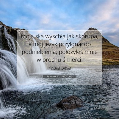 Picture 07 - Psalmów 22:15 POLUBG - Moja siła wyschła jak skorupa, a mój język - Bible Verse Picture