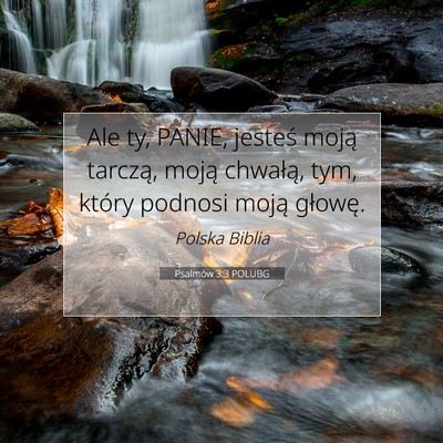 Picture 07 - Psalmów 3:3 POLUBG - Ale ty, PANIE, jesteś moją tarczą, moją - Bible Verse Picture