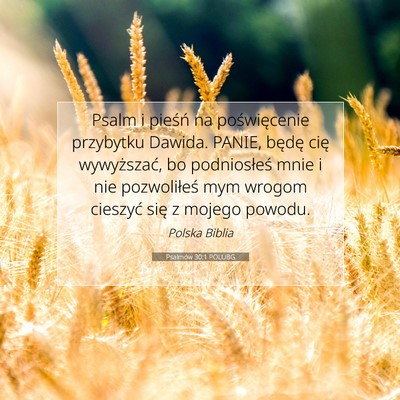 Picture 07 - Psalmów 30:1 POLUBG - Psalm i pieśń na poświęcenie przybytku - Bible Verse Picture