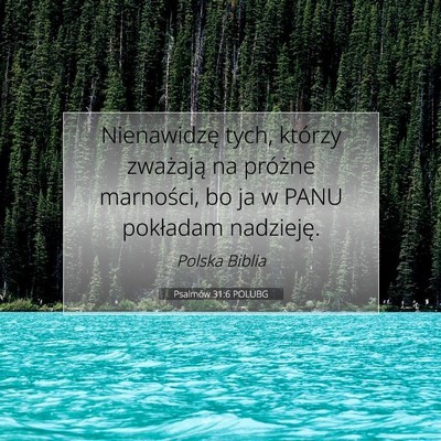 Picture 07 - Psalmów 31:6 POLUBG - Nienawidzę tych, którzy zważają na próżne - Bible Verse Picture