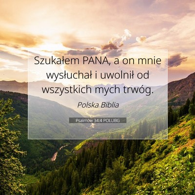 Picture 07 - Psalmów 34:4 POLUBG - Szukałem PANA, a on mnie wysłuchał i uwolnił - Bible Verse Picture