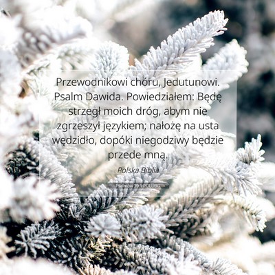 Picture 07 - Psalmów 39:1 POLUBG - Przewodnikowi chóru, Jedutunowi. Psalm Dawida. - Bible Verse Picture