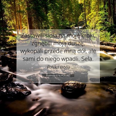 Picture 07 - Psalmów 57:6 POLUBG - Zastawili sidła na moje kroki, zgnębili moją - Bible Verse Picture