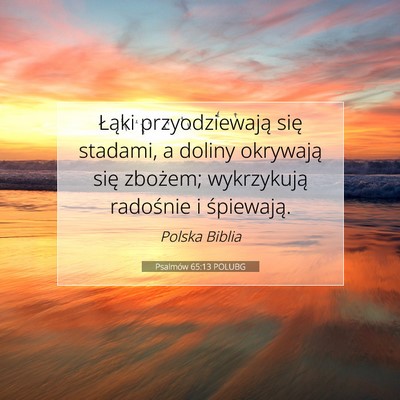 Picture 07 - Psalmów 65:13 POLUBG - Łąki przyodziewają się stadami, a doliny - Bible Verse Picture
