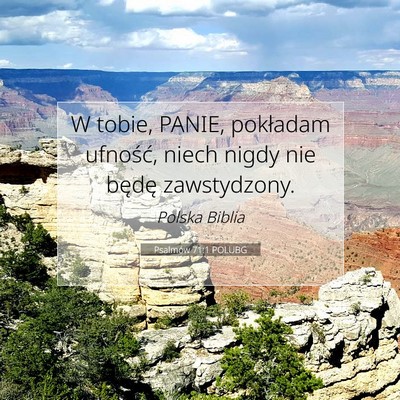 Picture 07 - Psalmów 71:1 POLUBG - W tobie, PANIE, pokładam ufność, niech nigdy - Bible Verse Picture