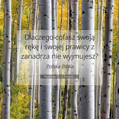 Picture 07 - Psalmów 74:11 POLUBG - Dlaczego cofasz swoją rękę i swojej prawicy z - Bible Verse Picture