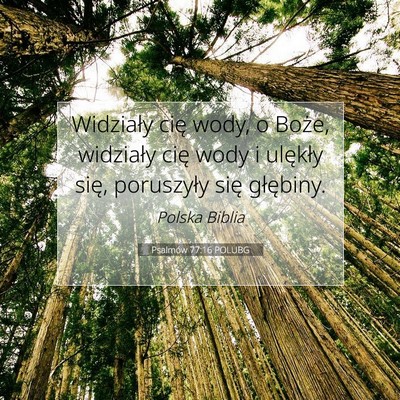 Picture 07 - Psalmów 77:16 POLUBG - Widziały cię wody, o Boże, widziały cię wody - Bible Verse Picture