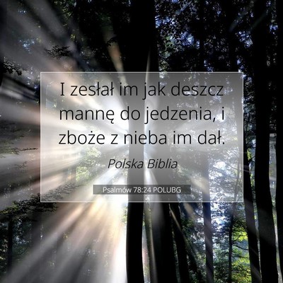 Picture 07 - Psalmów 78:24 POLUBG - I zesłał im jak deszcz mannę do jedzenia, i - Bible Verse Picture