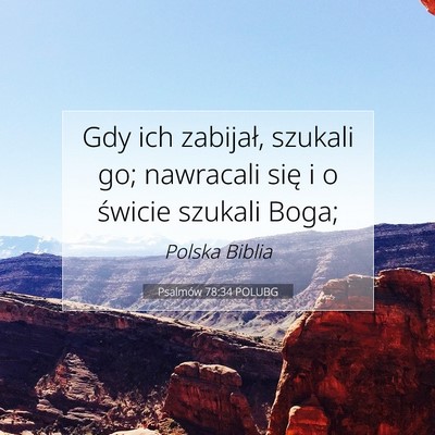 Picture 07 - Psalmów 78:34 POLUBG - Gdy ich zabijał, szukali go; nawracali się i o - Bible Verse Picture