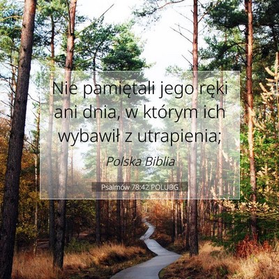 Picture 07 - Psalmów 78:42 POLUBG - Nie pamiętali jego ręki ani dnia, w którym ich - Bible Verse Picture