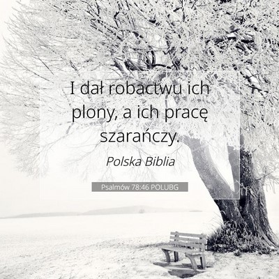 Picture 07 - Psalmów 78:46 POLUBG - I dał robactwu ich plony, a ich pracę - Bible Verse Picture