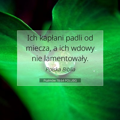 Picture 07 - Psalmów 78:64 POLUBG - Ich kapłani padli od miecza, a ich wdowy nie - Bible Verse Picture