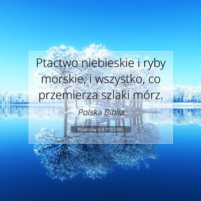 Picture 07 - Psalmów 8:8 POLUBG - Ptactwo niebieskie i ryby morskie, i wszystko, co - Bible Verse Picture