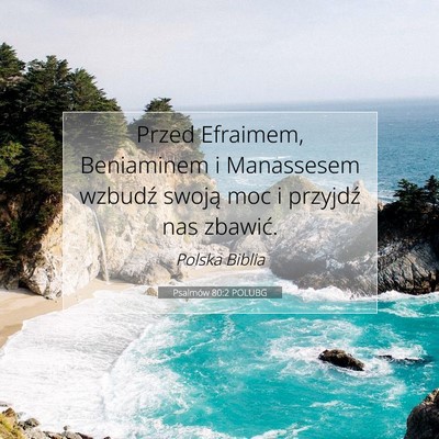 Picture 07 - Psalmów 80:2 POLUBG - Przed Efraimem, Beniaminem i Manassesem wzbudź - Bible Verse Picture
