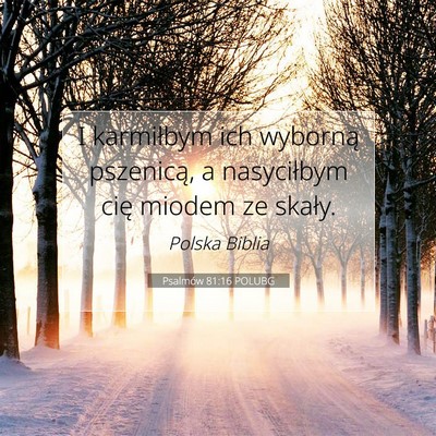 Picture 07 - Psalmów 81:16 POLUBG - I karmiłbym ich wyborną pszenicą, a - Bible Verse Picture