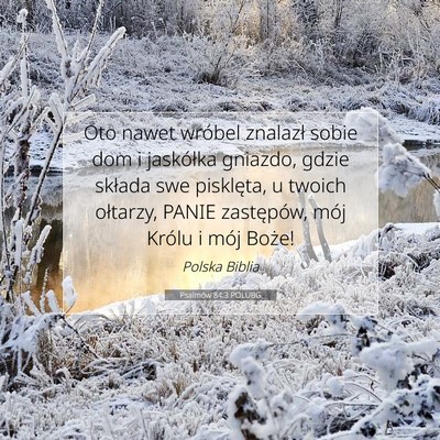 Picture 07 - Psalmów 84:3 POLUBG - Oto nawet wróbel znalazł sobie dom i jaskółka - Bible Verse Picture