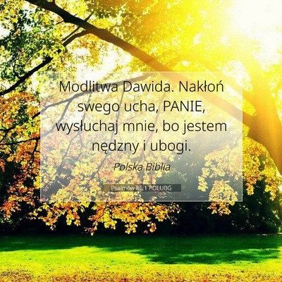 Picture 07 - Psalmów 86:1 POLUBG - Modlitwa Dawida. Nakłoń swego ucha, PANIE, - Bible Verse Picture