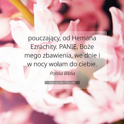 Picture 07 - Psalmów 88:1 POLUBG - pouczający, od Hemana Ezrachity. PANIE, Boże - Bible Verse Picture