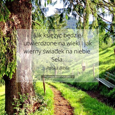 Picture 07 - Psalmów 89:37 POLUBG - Jak księżyc będzie utwierdzone na wieki i jak - Bible Verse Picture