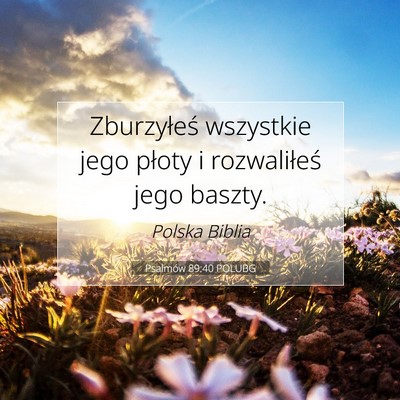 Picture 07 - Psalmów 89:40 POLUBG - Zburzyłeś wszystkie jego płoty i rozwaliłeś - Bible Verse Picture
