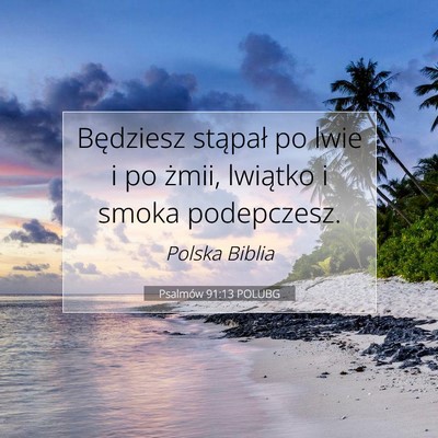 Picture 07 - Psalmów 91:13 POLUBG - Będziesz stąpał po lwie i po żmii, lwiątko i - Bible Verse Picture