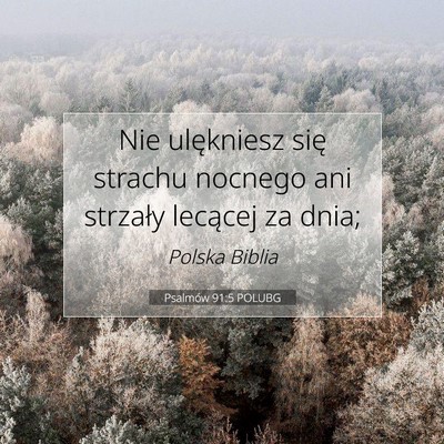 Picture 07 - Psalmów 91:5 POLUBG - Nie ulękniesz się strachu nocnego ani strzały - Bible Verse Picture