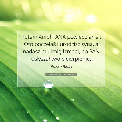 Picture 07 - Rodzaju 16:11 POLUBG - Potem Anioł PANA powiedział jej: Oto - Bible Verse Picture