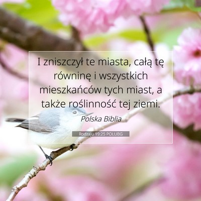 Picture 07 - Rodzaju 19:25 POLUBG - I zniszczył te miasta, całą tę równinę i - Bible Verse Picture