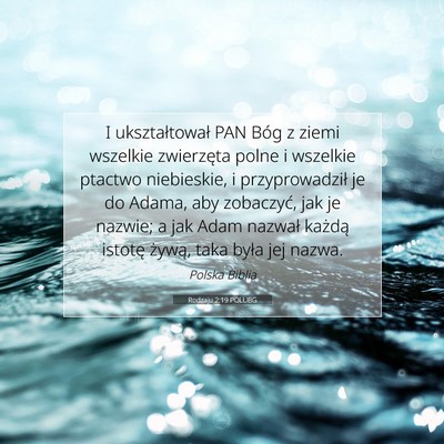 Picture 07 - Rodzaju 2:19 POLUBG - I ukształtował PAN Bóg z ziemi wszelkie - Bible Verse Picture