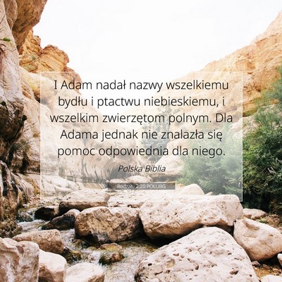 Picture 07 - Rodzaju 2:20 POLUBG - I Adam nadał nazwy wszelkiemu bydłu i ptactwu - Bible Verse Picture