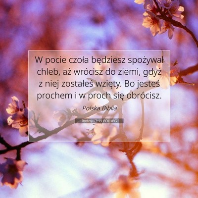 Picture 07 - Rodzaju 3:19 POLUBG - W pocie czoła będziesz spożywał chleb, aż - Bible Verse Picture