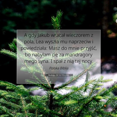 Picture 07 - Rodzaju 30:16 POLUBG - A gdy Jakub wracał wieczorem z pola, Lea wyszła - Bible Verse Picture