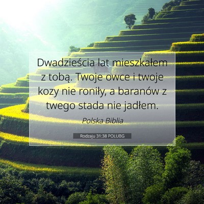 Picture 07 - Rodzaju 31:38 POLUBG - Dwadzieścia lat mieszkałem z tobą. Twoje owce - Bible Verse Picture
