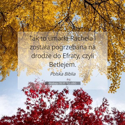 Picture 07 - Rodzaju 35:19 POLUBG - Tak to umarła Rachela i została pogrzebana na - Bible Verse Picture