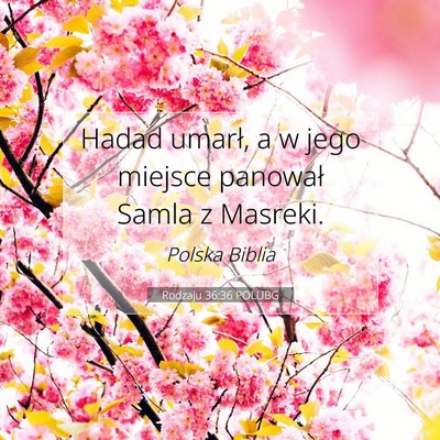 Picture 07 - Rodzaju 36:36 POLUBG - Hadad umarł, a w jego miejsce panował Samla z - Bible Verse Picture