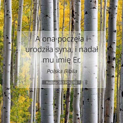 Picture 07 - Rodzaju 38:3 POLUBG - A ona poczęła i urodziła syna, i nadał mu - Bible Verse Picture