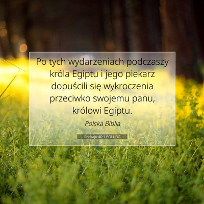 Picture 07 - Rodzaju 40:1 POLUBG - Po tych wydarzeniach podczaszy króla Egiptu i - Bible Verse Picture