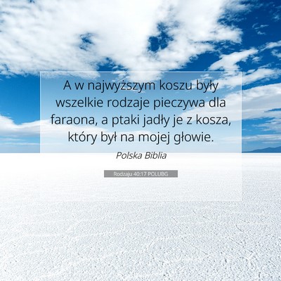 Picture 07 - Rodzaju 40:17 POLUBG - A w najwyższym koszu były wszelkie rodzaje - Bible Verse Picture