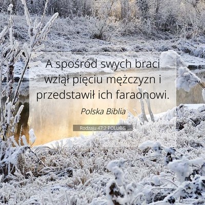 Picture 07 - Rodzaju 47:2 POLUBG - A spośród swych braci wziął pięciu - Bible Verse Picture