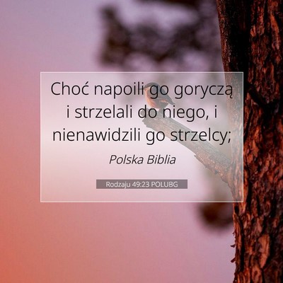 Picture 07 - Rodzaju 49:23 POLUBG - Choć napoili go goryczą i strzelali do niego, i - Bible Verse Picture