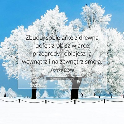 Picture 07 - Rodzaju 6:14 POLUBG - Zbuduj sobie arkę z drewna gofer, zrobisz w arce - Bible Verse Picture