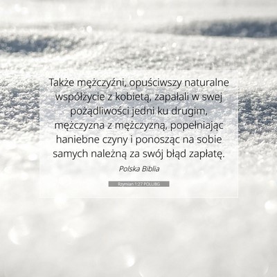 Picture 07 - Rzymian 1:27 POLUBG - Także mężczyźni, opuściwszy naturalne - Bible Verse Picture