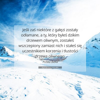 Picture 07 - Rzymian 11:17 POLUBG - Jeśli zaś niektóre z gałęzi zostały - Bible Verse Picture
