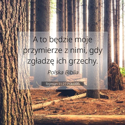 Picture 07 - Rzymian 11:27 POLUBG - A to będzie moje przymierze z nimi, gdy - Bible Verse Picture