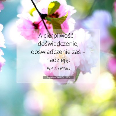 Picture 07 - Rzymian 5:4 POLUBG - A cierpliwość – doświadczenie, - Bible Verse Picture