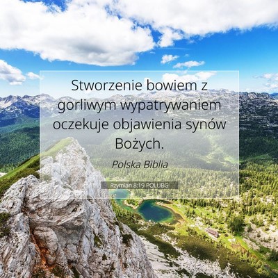 Picture 07 - Rzymian 8:19 POLUBG - Stworzenie bowiem z gorliwym wypatrywaniem - Bible Verse Picture