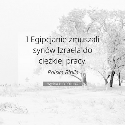 Picture 07 - Wyjścia 1:13 POLUBG - I Egipcjanie zmuszali synów Izraela do - Bible Verse Picture