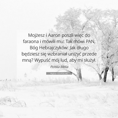 Picture 07 - Wyjścia 10:3 POLUBG - Mojżesz i Aaron poszli więc do faraona i - Bible Verse Picture