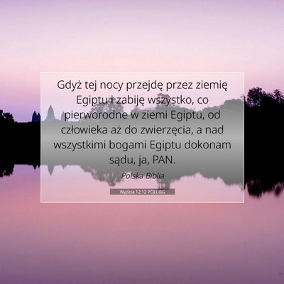 Picture 07 - Wyjścia 12:12 POLUBG - Gdyż tej nocy przejdę przez ziemię Egiptu i - Bible Verse Picture