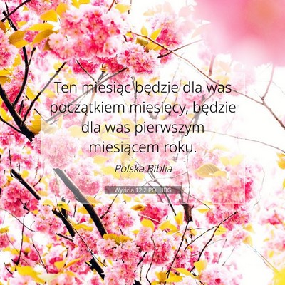 Picture 07 - Wyjścia 12:2 POLUBG - Ten miesiąc będzie dla was początkiem - Bible Verse Picture